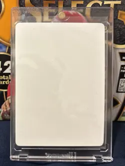 Pokemon TCG Blank Front Error Card. No Boarder Extremely Rare. - Image 1