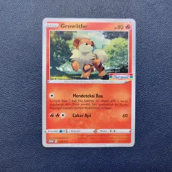 Lot 40 Sealed Indomaret Promo Pikachu Spheal Growlithe Weedle Pokemon Indonesia - Image 5