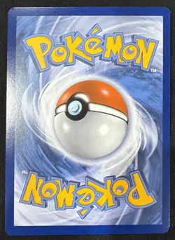 Cyndaquil - Promo SWSH: Sword & Shield Promo Cards SWSH221 NM Holo - Image 2