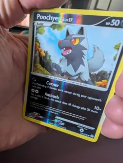 Pokemon Card - Poochyena Legends Awakened 116/146 Reverse Holo - Image 3