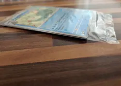 Pokemon TCG: SVP213, SVP214 & SVP215 - Illustration Contest 2024 Promos - Sealed - Image 5