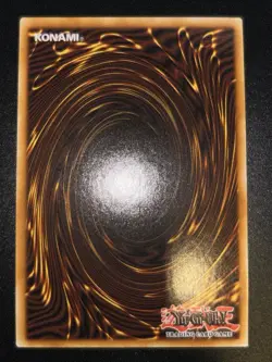 Yugioh! Salamangreat Raging Phoenix - RA04-EN083 - Platinum Secret Rare - 1st Ed - Image 2