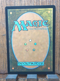 MTG - Court of Garenbrig - Wilds of Eldraine Commander - RARE 0025 Pack Fresh NM - Image 2