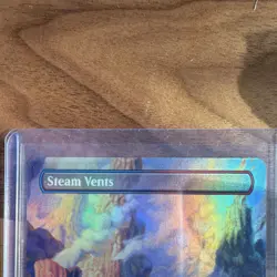 Magic: The Gathering Steam Vents Foil Land 2 Cards #348 Raoul Vitale 2026 - Image 2