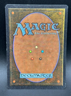 MTG Savannah Lions R Revised Edition #39 - Image 2