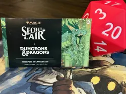 MTG Whispers in Candlekeep FOIL - Secret Lair X Dungeons & Dragon - Sealed - Image 1
