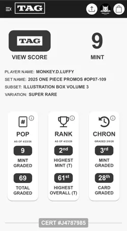 2025 One Piece Illustration Box Vol.3 Monkey D. Luffy & Roronoa Zoro MINT TAG 9 - Image 4