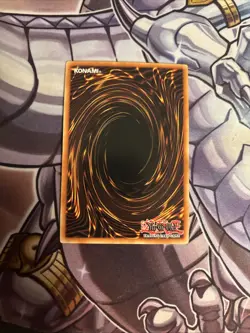 (YcL) Yugioh Droll & Lock Bird MAGO-EN006 1st Edition Premium Gold Rare - VLP - Image 2