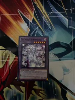Yugioh! Necroquip Princess - INFO-EN085 - Common - 1st Edition N/M, English - Image 1
