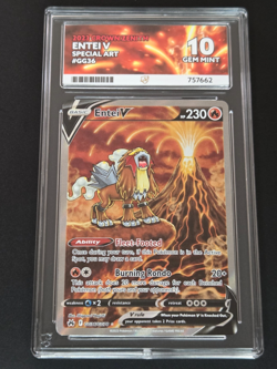 Pokemon Entei V GG36/GG70 Crown Zenith Special Art Rare 2023 ACE 10 GEM MINT - Image 1