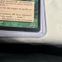 Eladamri, Lord of Leaves Tempest Regular - Image 3