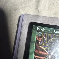 Eladamri, Lord of Leaves Tempest Regular - Image 5