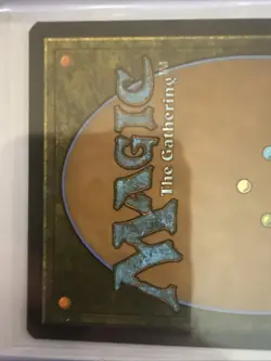 MTG-Multiversal Passage (Borderless) - Marvel's Spider-Man Foil #206 - Image 5