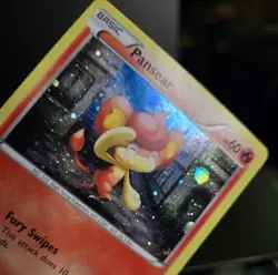 Pokemon TCG - PANSEAR - XY131 - COSMOS HOLO PROMO - FATES COLLIDE (2016) - MP/LP - Image 3