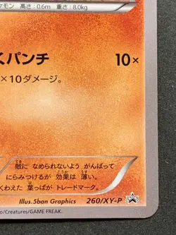 Pokemon card Pancham 260/XY-P PROMO 2016 Nintendo Japanese Pocket Monster RARE - Image 5