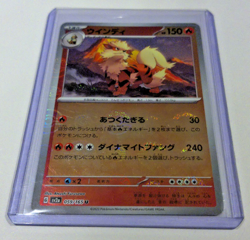 Pokemon TCG - SV2a: 151 Holo Arcanine (Poke Ball Pattern) Uncommon 059/165 NM - Image 1