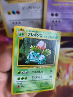 Pokemon Kart Card Base expansion set no rarity Wotc japanese Ivysaur Bisknosp NM - Image 2