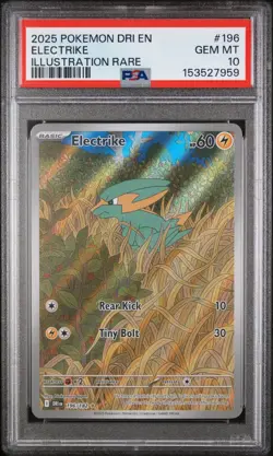 Pokemon Electrike Illustration Destined Rivals #196 Graded Card PSA 10 - Image 1