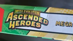 Pokemon Mega Evolution Ascended Heroes Mega Meganium Ex Box -Minor Box Damage UK - Image 5