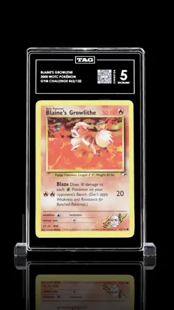 TAG 5 Blaine's Growlithe Gym Challenge 62/132 2000 WOTC English Pokemon TCG - Image 1