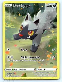 Poochyena GG33/GG70 Pokemon Crown Zenith Galarian Gallery Trainer Gallery Rare - Image 1