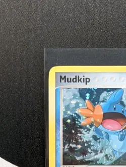 Mudkip 11 POP Series 4 11 Holo Common - Pokemon TCG - Image 2