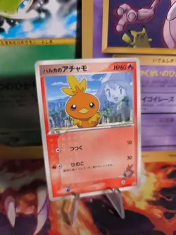 Pokemon Karte Card May's Torchic Flemmli Shogakukan Glossy Promo japanese VG- - Image 1