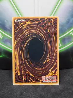 Yugioh Curse of Dragon DLG1-EN010 Common NM - Image 2