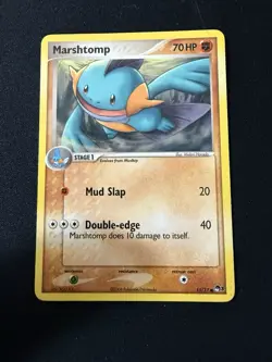Pokemon TCG POP Promo Mudkip and Marshtomp lot - Image 3