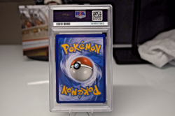 TAG TEAM, PSA 8 Magikarp & Wailord Gx #SM166 2019 Pokemon Sm Black Star Promo, - Image 3
