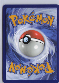 Pokemon TCG #187 /191 Surfer Uncommon Surging Sparks - Image 2