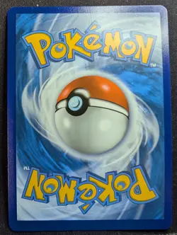 Flannery - 215/198 Chilling Reign (Pokemon) - Image 2