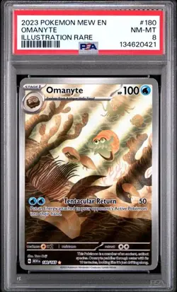 PSA 8 NM-MT Omanyte 151 English Illustration Rare Full Art Holo Pokemon 180/165 - Image 1