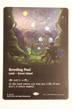 Breeding Pool (Borderless) (Galaxy Foil) Edge of Eternities Foil - Image 2