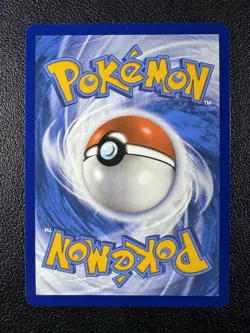 Pokemon Eevee Scarlet & Violet Promo 173 Full Art Holofoil - Image 3