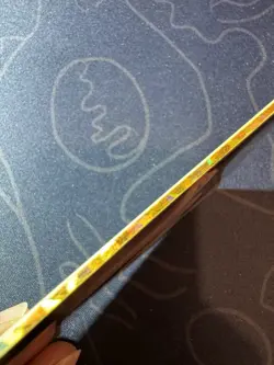 Goddess Story Robin Pastie Preimium Thick Card Waifu Doujin One Piece Gorgeous - Image 3