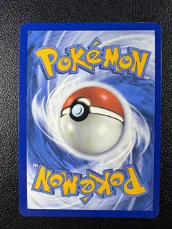 Pokemon Pidgey Illustration Rare IR Full Art Holo 207/197 Obsidian Flames - Image 3