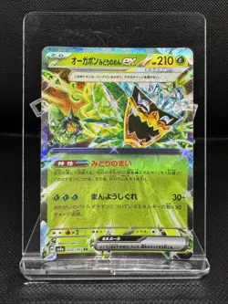 Teal Mask Ogerpon Ex 20/187 RR Terastal Festival-Near Mint-Japanese Pokemon Card - Image 1