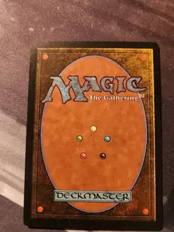 MTG UNDISCOVERED PARADISE - VISIONS - Image 2