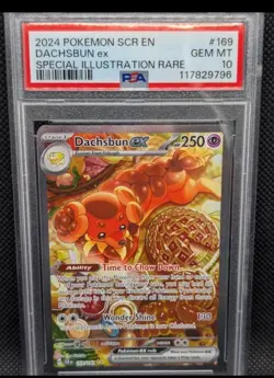 2024 Pokemon Stellar Crown Dachsbun Ex Special Illustration Rare #169/142 PSA 10 - Image 1