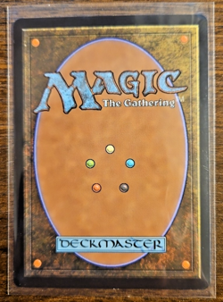 Ajani, Outland Chaperone 0284 MTG Lorwyn Eclipsed Mythic Borderless Foil NM - Image 2