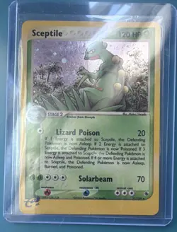 Pokemon TCG Sceptile 11/109 EX Ruby & Sapphire Holo Rare 120 HP Stage 2 EN - Image 1