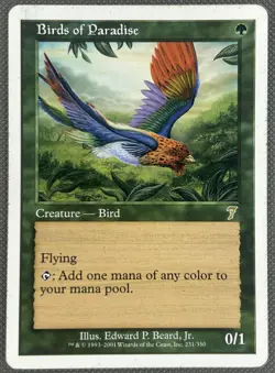 Birds of Paradise - 7th Edition LP - Image 1