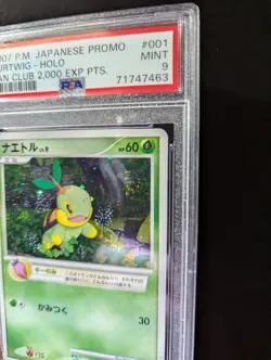 2007 Pokemon Promo Holo Fan Club 2000 EXP. PSA 9 Turtwig🌀 - Chimchar🌀 - Piplup - Image 2