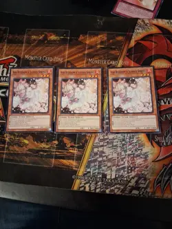 Yugioh - 3x Ash Blossom & Joyous Spring SDWD-EN017 Common Near Mint - Image 1