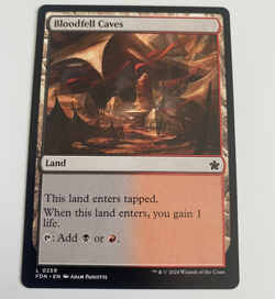 Bloodfell Caves - 259 - FDN - NM - MTG Magic the Gathering - Image 1