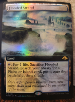 Flooded Strand (Extended Art) Modern Horizons 3 Foil - Image 1