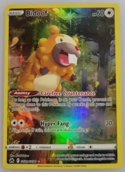 Bidoof GG29/GG70 Pokemon Crown Zenith: Galarian Gallery Holo NM (4 of 4) - Image 1