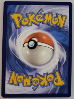 Bidoof GG29/GG70 Pokemon Crown Zenith: Galarian Gallery Holo NM (4 of 4) - Image 2