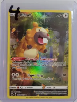 Bidoof GG29/GG70 Pokemon Crown Zenith: Galarian Gallery Holo NM (4 of 4) - Image 3